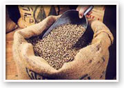Voets voets gree coffee