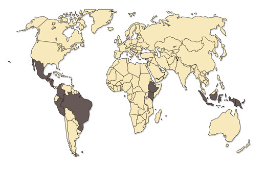 Voets Single Origins Map